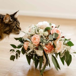 katze schnuppert an vintage brautstrauss bei getting ready von hochzeitsfotograf in hoechstadt aisch