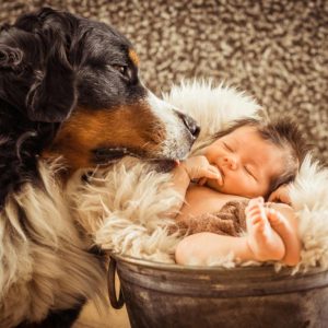 neugeborenen shooting daheim baby mit hund fotografin in erlangen-hoechstadt